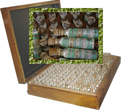 homoeopathy pillules kit